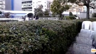 电影《秘书和老板的大尺度》免费高清在线观看-完整版-幕宸光影网
